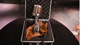 Buddy Hollys Microphone from The Day The Music Died Donated to Surf Ballroom