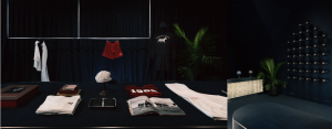 Siegelman Stable East Hampton Pop - Up shot by Yanran Xiong