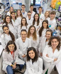 A research group at the Cima and Clinica Universidad de Navarra has shown that stimulating the immune system improves treatment with viruses in animal models of glioma