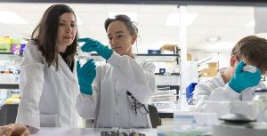 The scientists have developed a strategy that combines Delta-24-RGD with an antibody that activates the CD40 stimulatory receptor
