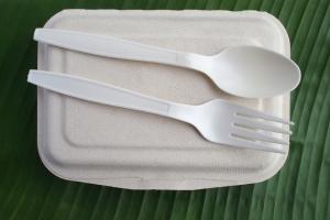 Biodegradable Plastics Market Key Trends