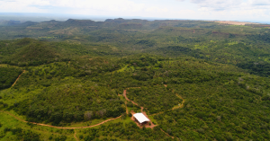 Aerial view of Elephant Sanctuary Brazil's Female African Habitat