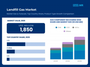 Landfill Gas Market