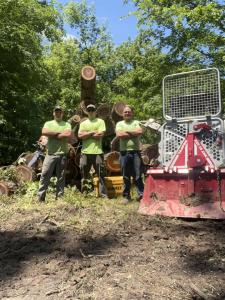 Grade Timber with their Tajfun Logging Winch