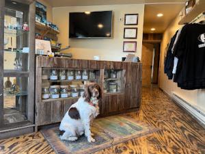 Double Dogs Weed Dispensary Four Corners