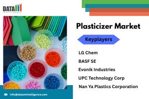Plasticizer Market