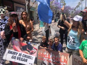 Protesters at one of the many recent demonstrations.