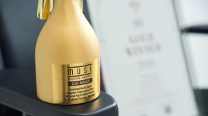 Muse Award 2025 Novis Series