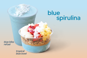 Oola Bowls Blue Spirulina