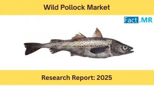 Wild Pollock Market