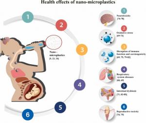 Potential chronic health risks of nano- and microplastics on human health, including metabolic disruption, reproductive harm, respiratory diseases, oxidative stress, neurotoxicity, immune function disruptions, and cancer