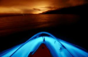Bioluminescence on Clear Kayaks by NPI Productions