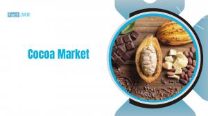 Cocoa Market