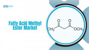 Fatty Acid Methyl Ester Market