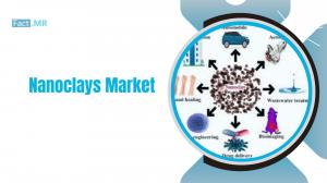 Nanoclays Market