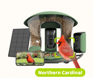 Birdfy Feeder 2 Duo - Bird Feeder with Camera