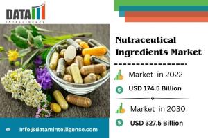 Nutraceutical Ingredients Market Size