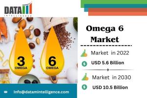 Omega-6 Market Size