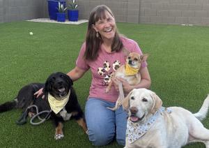 Senior black Lab, Maya, is pictured with her mom and doggie siblings, Chihuahua Nugget and Dixie, a yellow Lab.