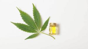 Cannabis Concentrate Market - 2019-2025