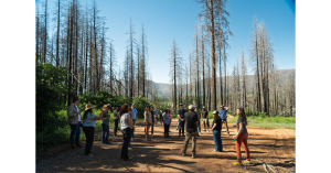 Small group of people standing in previous fire burn area