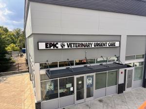 pets, emergency vet, urgent care pets, animals, cats, dogs, kittens, puppies, veterinary