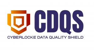 DQS ensures trusted, governed data across modern cloud environments.