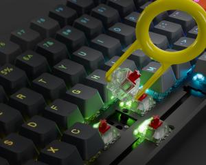 Keyboard Customizable Switches