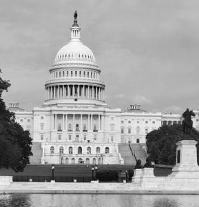 An image of the Capitol building in Washington DC.