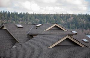 GAF sovereign shingles Texas
