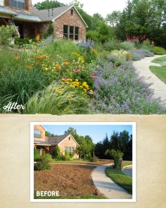 A front yard transformed with sustainable landscaping—lush with colorful wildflowers and pollinator-friendly plants instead of grass. The no-mow garden conserves water, supports biodiversity, and creates a vibrant, eco-friendly space.