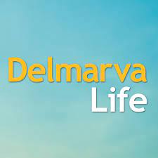 WBOC’s DelmarvaLife Borsello Landscaping Feature