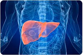 Cancer Cachexia Market Epidemiology Report