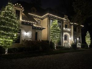 Christmas Lights - Advanced Lightscaping