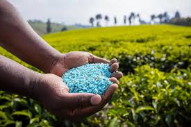 Nano Fertilizers Market 2025