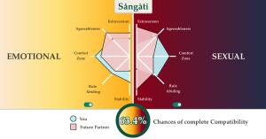 Image shows a radar chart with personality data of two users along with the compatibility score of 63.4%
