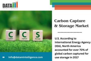 Carbon Capture & Storage Industry