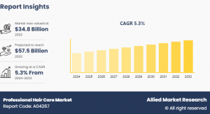 Professional-Hair-Care Size, Competitive Landscape,Trend Analysis