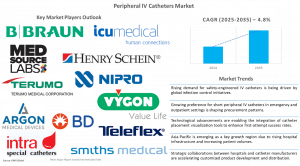 Peripheral IV Catheters Market