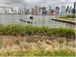 Hunter’s Point South Park (Photo Credit: James Edstrom)