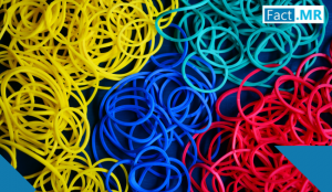 Europe Silicone Rubber Market