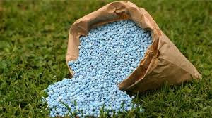 Fertilizer Catalyst Market Trends