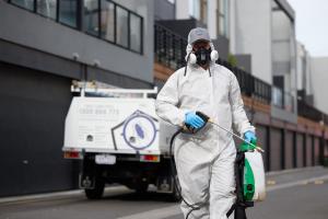 pest control sydney