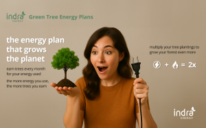 Indra Energy Green Tree Plan