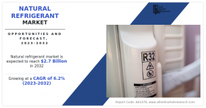 Natural Refrigerant Market, by Gas