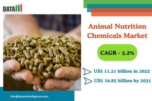 Animal Nutrition Chemicals Market