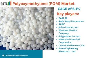Polyoxymethylene (POM) Market