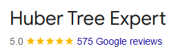 550+ Five-Star Reviews