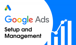 Zabi Niazi offering Google Ads campaign setup and management services