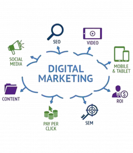 Zabi Niazi offering SEO, SEM, and PPC digital marketing consulting services